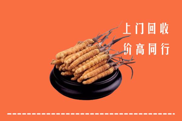 高价求购：台山市回收散虫草