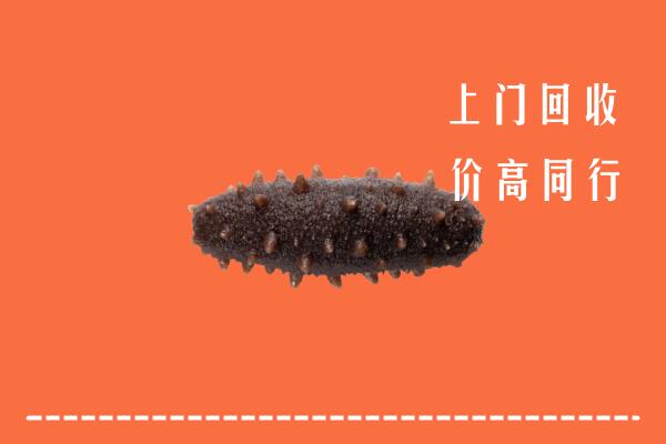 高价求购：台山市回收海参